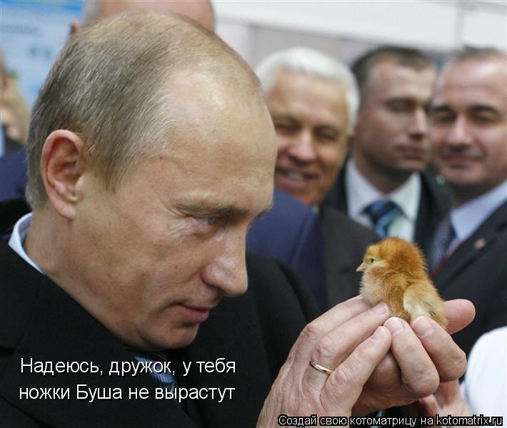 Надеюсь, дружок, у тебя ножки Буша не вырастут... Котоматрица: Надеюсь, дружок, у тебя ножки Буша не вырастут