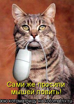 Сами же просили мышей ловить!... Котоматрица: Сами же просили мышей ловить!