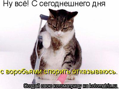 Ну всё! С сегоднешнего дня с воробьями спорить отказываюсь.... Котоматрица: Ну всё! С сегоднешнего дня с воробьями спорить отказываюсь.