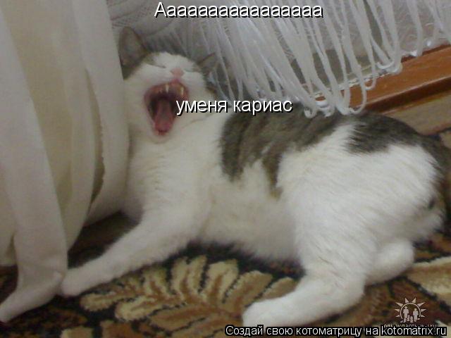 Аааааааааааааааа уменя кариас... Котоматрица: Аааааааааааааааа уменя кариас