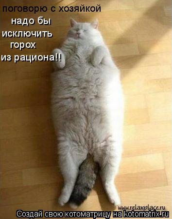 поговорю с хозяйкой надо бы исключить горох из рациона!!... Котоматрица: поговорю с хозяйкой надо бы исключить горох из рациона!!