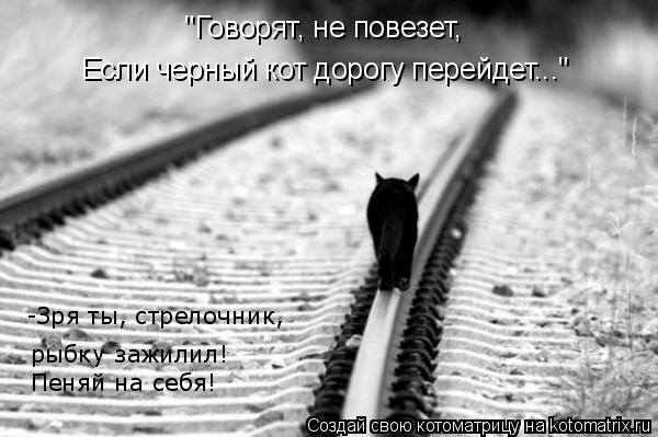 "Говорят, не повезет, Если черный кот дорогу перейдет..." -Зря ты, стрелочник, рыбку зажилил! Пеняй... Котоматрица: "Говорят, не повезет, Если черный кот дорогу перейдет..." -Зря ты, стрелочник, рыбку зажилил! Пеняй на себя!