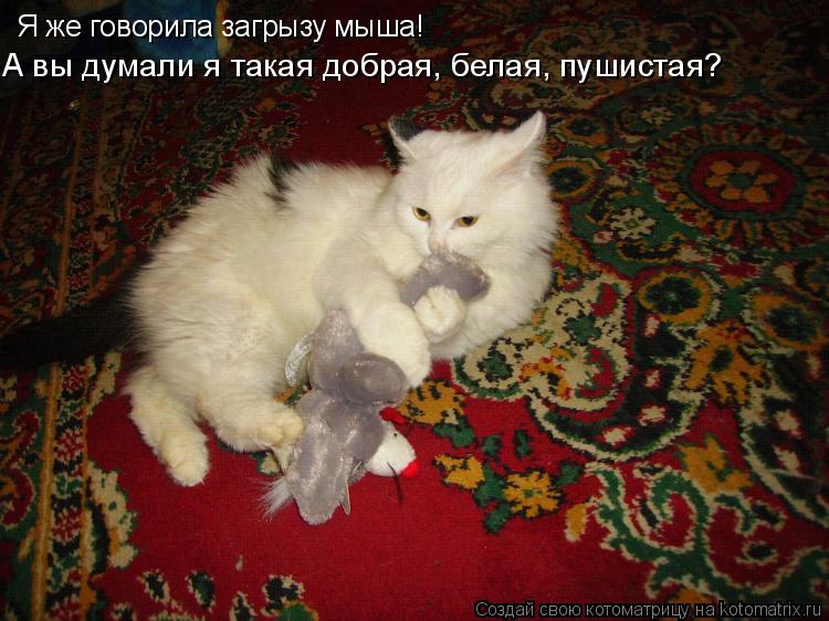 Я же говорила загрызу мыша! А вы думали я такая добрая, белая, пушистая?... Котоматрица: Я же говорила загрызу мыша! А вы думали я такая добрая, белая, пушистая?