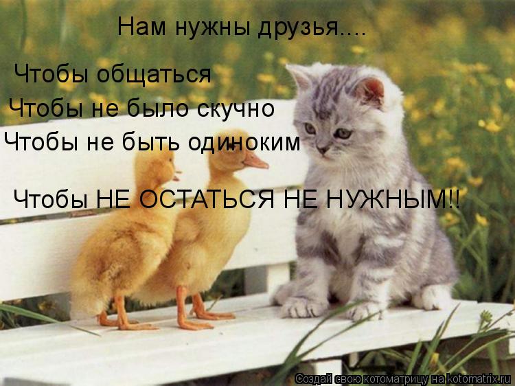 Нам нужны друзья.... Чтобы общаться Чтобы не было скучно Чтобы не быть одиноким Чтобы НЕ ОСТАТЬСЯ НЕ ... Котоматрица: Нам нужны друзья.... Чтобы общаться Чтобы не было скучно Чтобы не быть одиноким Чтобы НЕ ОСТАТЬСЯ НЕ НУЖНЫМ!!