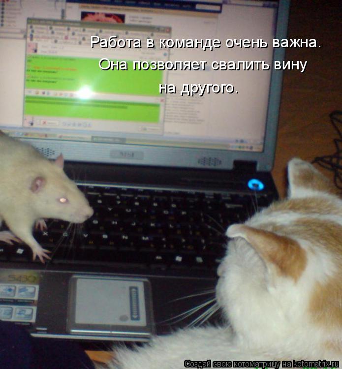 Работа в команде очень важна. Она позволяет свалить вину на другого.... Котоматрица: Работа в команде очень важна. Она позволяет свалить вину на другого.