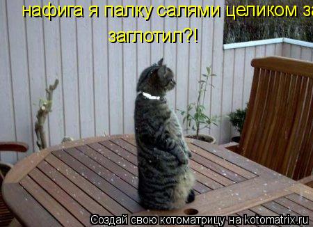 нафига я палку салями целиком заглотил?! заглотил?!... Котоматрица: нафига я палку салями целиком заглотил?! заглотил?!