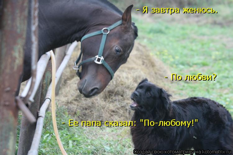 - Я завтра женюсь. - По любви? - Ее папа сказал: "По-любому!"... Котоматрица: - Я завтра женюсь. - По любви? - Ее папа сказал: "По-любому!"