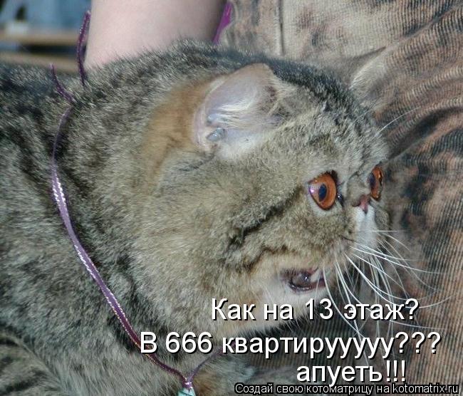 Как на 13 этаж? В 666 квартирууууу??? апуеть!!!... Котоматрица: Как на 13 этаж? В 666 квартирууууу??? апуеть!!!