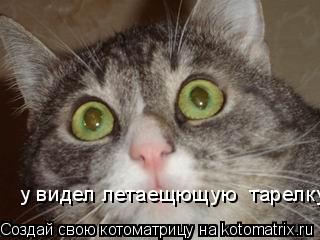 у видел летаещющую тарелку... Котоматрица: у видел летаещющую тарелку