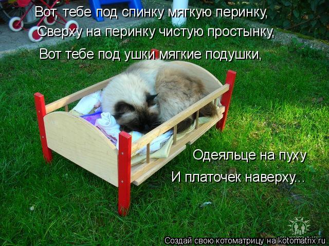 Вот, тебе под спинку мягкую перинку, Сверху на перинку чистую простынку, Вот тебе под ушки мягкие под... Котоматрица: Вот, тебе под спинку мягкую перинку, Сверху на перинку чистую простынку, Вот тебе под ушки мягкие подушки, Одеяльце на пуху И платочек навер