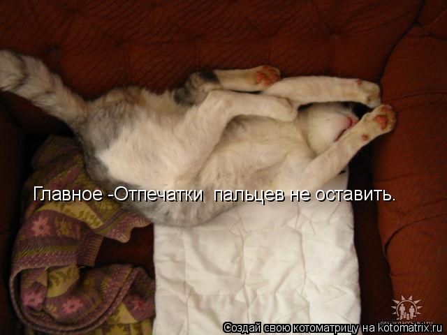 Главное -Отпечатки пальцев не оставить.... Котоматрица: Главное -Отпечатки пальцев не оставить.