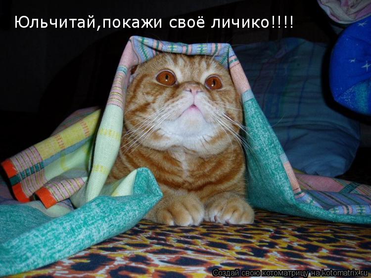 Юльчитай,покажи своё личико!!!!... Котоматрица: Юльчитай,покажи своё личико!!!!