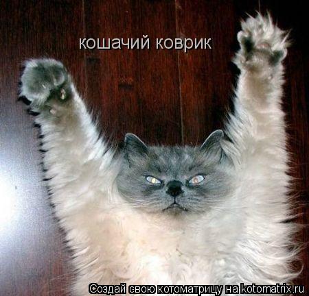 кошачий коврик... Котоматрица: кошачий коврик