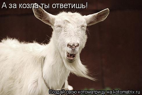 А за козла ты ответишь!... Котоматрица: А за козла ты ответишь!