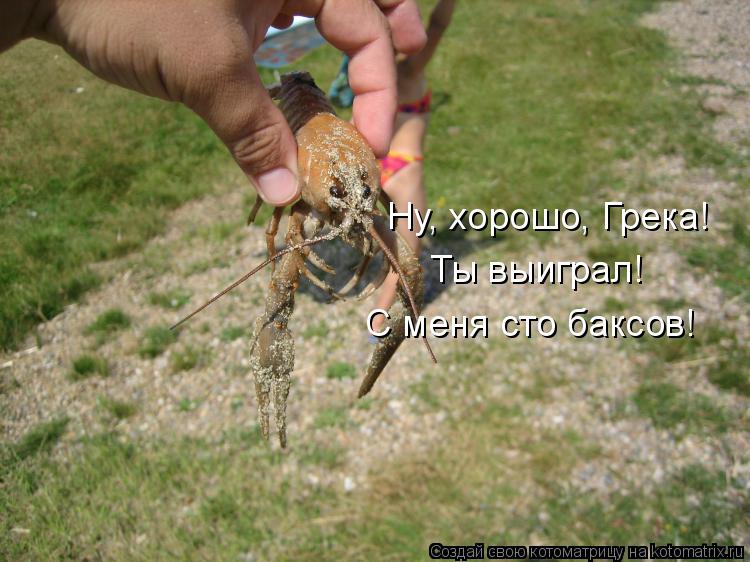 Ну, хорошо, Грека! Ты выиграл! С меня сто баксов!... Котоматрица: Ну, хорошо, Грека! Ты выиграл! С меня сто баксов!