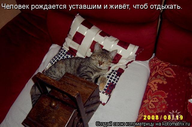 Человек рождается уставшим и живёт, чтоб отдыхать.... Котоматрица: Человек рождается уставшим и живёт, чтоб отдыхать.