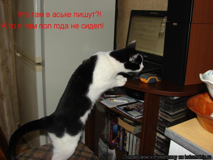 Что там в аське пишут?! А,то я там пол года не сидел!... Котоматрица: Что там в аське пишут?! А,то я там пол года не сидел!