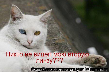 Никто не видел мою вторую линзу???... Котоматрица: Никто не видел мою вторую линзу???