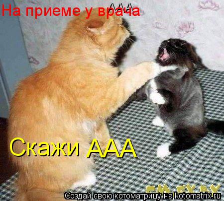 Скажи ААА ААА На приеме у врача... Котоматрица: Скажи ААА ААА На приеме у врача