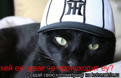 хей еу чувак че происходит еу?... Котоматрица: хей еу чувак че происходит еу?