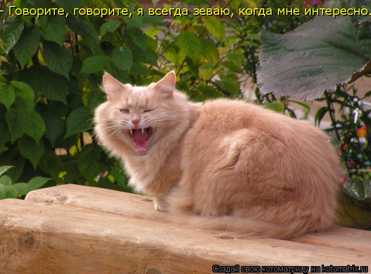 - Говорите, говорите, я всегда зеваю, когда мне интересно.... Котоматрица: - Говорите, говорите, я всегда зеваю, когда мне интересно.