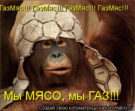 Котоматрица: ГазМяс!!! ГазМяс!!! ГазМяс!!! ГазМяс!!!  Мы МЯСО, мы ГАЗ!!!