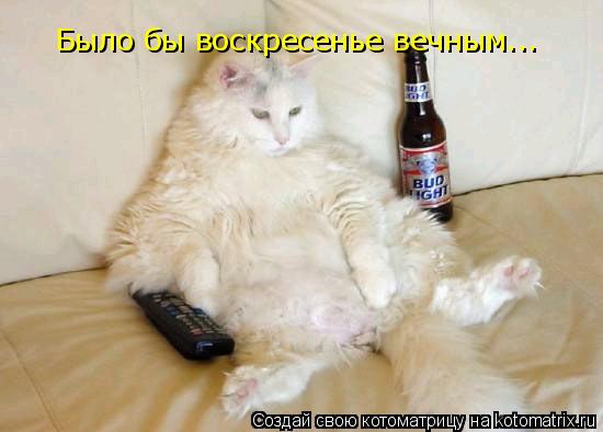 Было бы воскресенье вечным...... Котоматрица: Было бы воскресенье вечным...