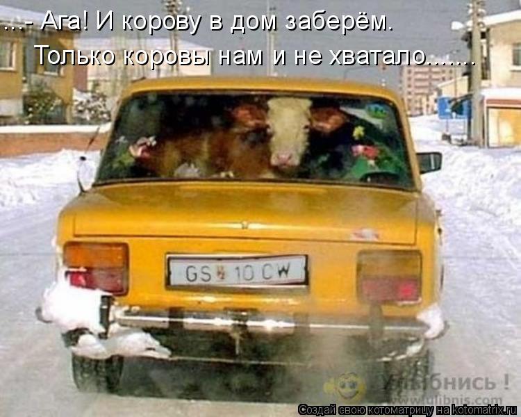 ...- Ага! И корову в дом заберём. Только коровы нам и не хватало.......... Котоматрица: ...- Ага! И корову в дом заберём. Только коровы нам и не хватало.......