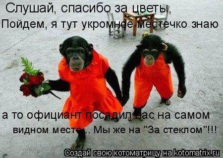 Слушай, спасибо за цветы, Пойдем, я тут укромное местечко знаю а то официант посадил нас на самом ви... Котоматрица: Слушай, спасибо за цветы, Пойдем, я тут укромное местечко знаю а то официант посадил нас на самом видном месте... Мы же на "За стеклом"!!!