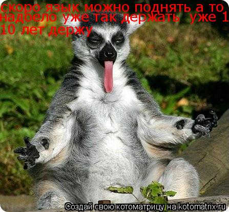 скоро язык можно поднять а то надоело уже так держать уже 10 лет держу надоело уже так держать уже ... Котоматрица: скоро язык можно поднять а то надоело уже так держать уже 10 лет держу надоело уже так держать уже 10 лет держу 10 лет держу