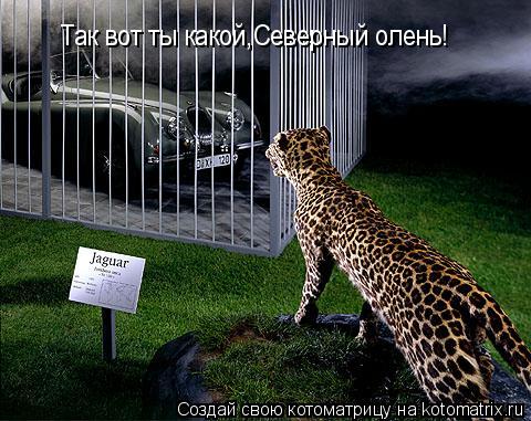 Так вот ты какой,Северный олень!... Котоматрица: Так вот ты какой,Северный олень!