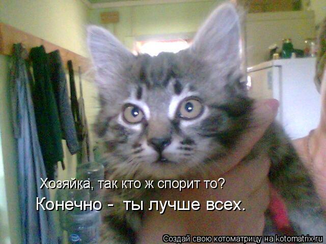 Хозяйка, так кто ж спорит то? Конечно - ты лучше всех.... Котоматрица: Хозяйка, так кто ж спорит то? Конечно - ты лучше всех.