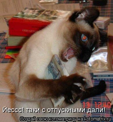 Йессс! таки с отпускными дали!... Котоматрица: Йессс! таки с отпускными дали!