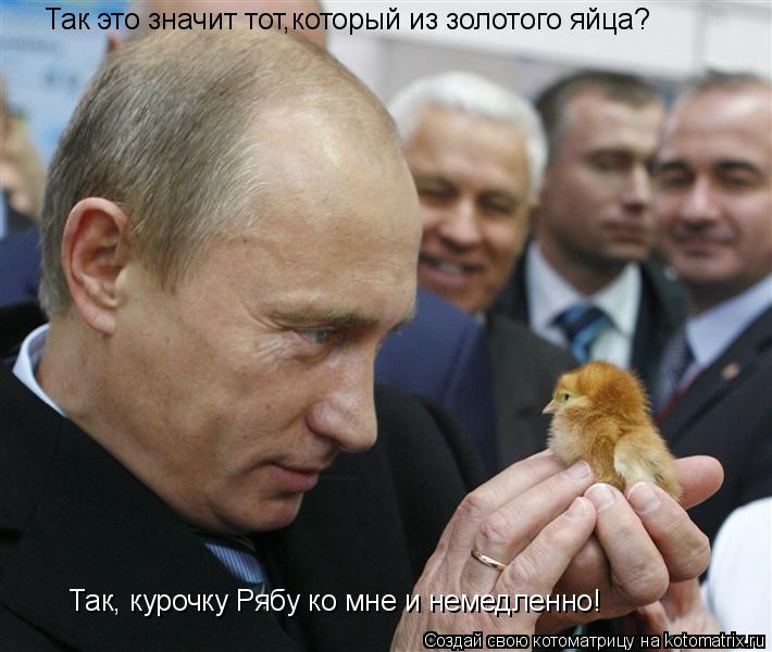 Так это значит тот,который из золотого яйца? Так, курочку Рябу ко мне и немедленно!... Котоматрица: Так это значит тот,который из золотого яйца? Так, курочку Рябу ко мне и немедленно!