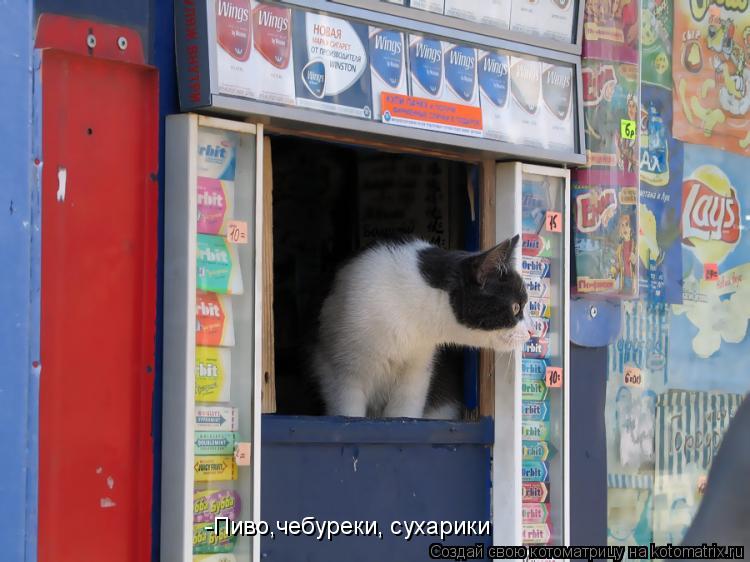 -Пиво,чебуреки, сухарики... Котоматрица: -Пиво,чебуреки, сухарики