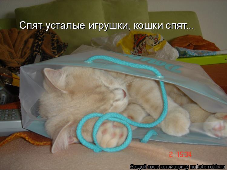 Спят усталые игрушки, кошки спят...... Котоматрица: Спят усталые игрушки, кошки спят...