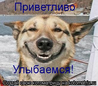 Котоматрица: Улыбаемся! Приветливо