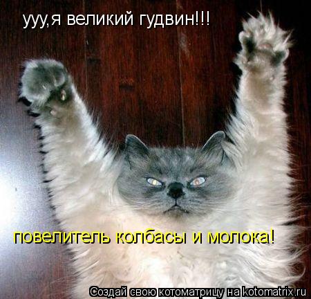 ууу,я великий гудвин!!! повелитель колбасы и молока!... Котоматрица: ууу,я великий гудвин!!! повелитель колбасы и молока!