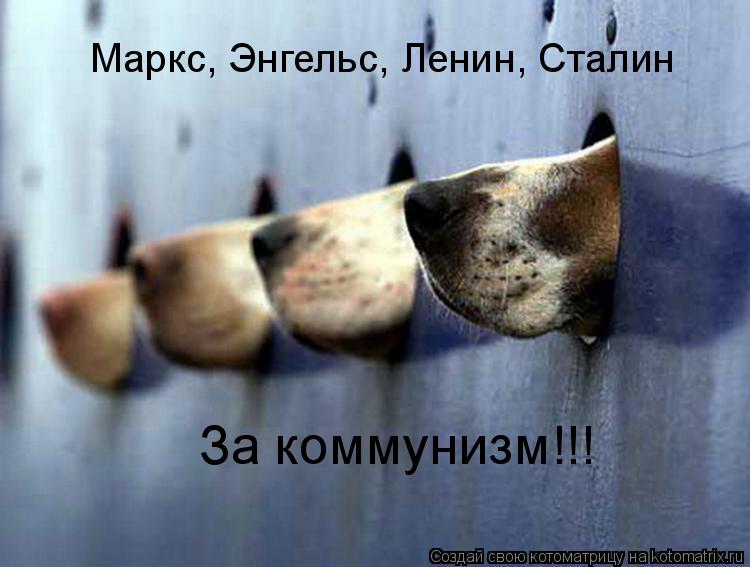 Маркс, Энгельс, Ленин, Сталин За коммунизм!!!... Котоматрица: Маркс, Энгельс, Ленин, Сталин За коммунизм!!!