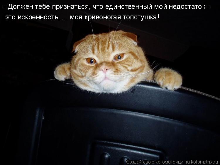 - Должен тебе признаться, что единственный мой недостаток - это искренность,.... моя кривоногая толс... Котоматрица: - Должен тебе признаться, что единственный мой недостаток - это искренность,.... моя кривоногая толстушка!