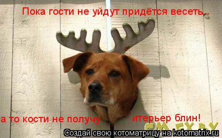 Пока гости не уйдут придётся весеть ... а то кости не получу итерьер блин!... Котоматрица: Пока гости не уйдут придётся весеть ... а то кости не получу итерьер блин!