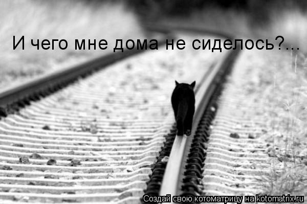 И чего мне дома не сиделось?...... Котоматрица: И чего мне дома не сиделось?...