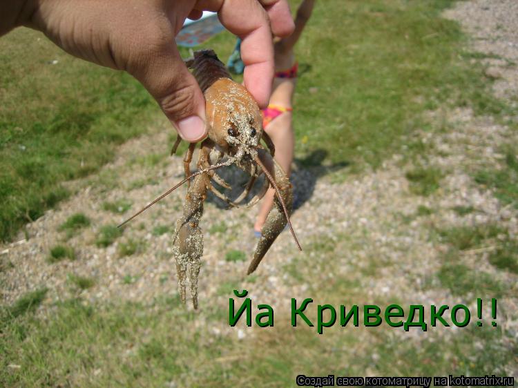 Йа Криведко!!... Котоматрица: Йа Криведко!!