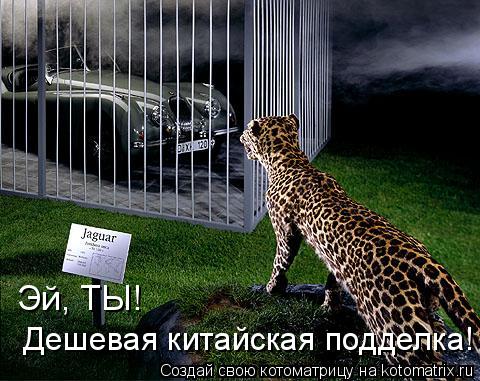 Эй, ТЫ! Дешевая китайская подделка!... Котоматрица: Эй, ТЫ! Дешевая китайская подделка!