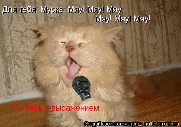Для тебя, Мурка: Мяу! Мяу! Мяу! Мяу! Мяу! Мяу! Мяу! (петь с выраждением) Для тебя, Мурка: Мяу! Мяу! М... Котоматрица: Для тебя, Мурка: Мяу! Мяу! Мяу! Мяу! Мяу! Мяу! Мяу! (петь с выраждением) Для тебя, Мурка: Мяу! Мяу! Мяу! Мяу! Мяу! Мяу! Мяу! (петь с выраждением) Для
