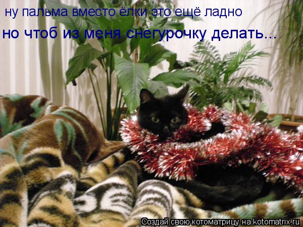 Котоматрица: ну пальма вместо ёлки это ещё ладно но чтоб из меня снегурочку делать...