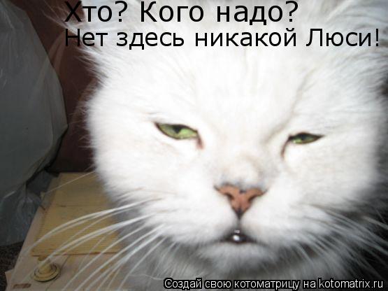 Хто? Кого надо? Нет здесь никакой Люси!... Котоматрица: Хто? Кого надо? Нет здесь никакой Люси!