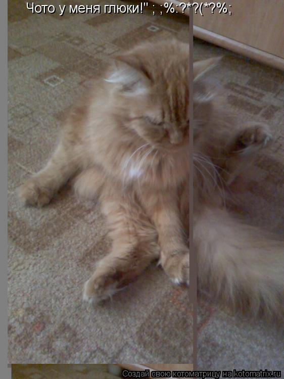 Чото у меня глюки!"№;№;%:?*?(*?%;... Котоматрица: Чото у меня глюки!"№;№;%:?*?(*?%;