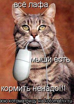 всё лафа мыши есть кормить ненадо!!!... Котоматрица: всё лафа мыши есть кормить ненадо!!!