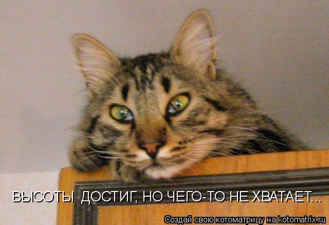 ВЫСОТЫ ДОСТИГ, НО ЧЕГО-ТО НЕ ХВАТАЕТ...... Котоматрица: ВЫСОТЫ ДОСТИГ, НО ЧЕГО-ТО НЕ ХВАТАЕТ...